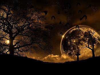 Landscape, Nature, Birds, Trees, Night, Dark, Planet HD wallpaper