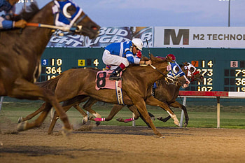 Secretariat, Supreme court, San Antonio, Horse track HD wallpaper