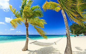Plage, nature HD wallpaper