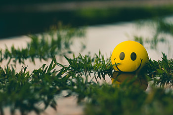 Water, Grass, Miscellanea, Miscellaneous, Smile, Ball, Emoticon, Smiley HD wallpaper