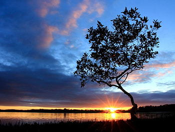 Sunrise Over the Lake, clouds, trees, nature, lake, sunrise HD wallpaper