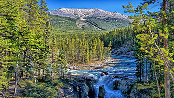 Sunwapta Falls, Jasper NP, Alberta, river, landscape, trees, canada, rocks, mountains, forest, stones HD wallpaper