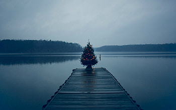 Christmas Tree On Pier, christmas, pier, nature, graphy HD wallpaper