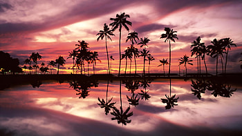 ... hawaii beach night HD wallpaper