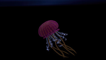 Jellyfish Oled , jellyfish, underwater, animals, dark, black, oled, artist, artwork, digital-art HD wallpaper