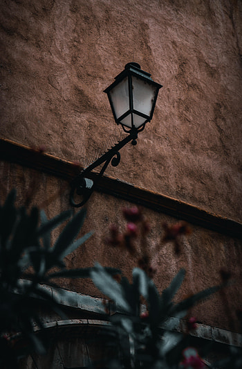 Plants, Building, Miscellanea, Miscellaneous, Lantern, Lamp HD phone wallpaper
