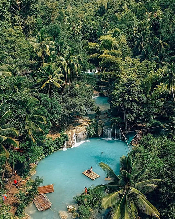 Philippines, natural_landscape, plant_community HD phone wallpaper