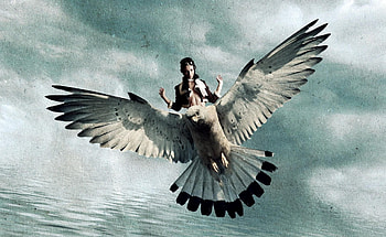 bird_girl_fly_wings, amit, omdave, matu, hrdave HD wallpaper