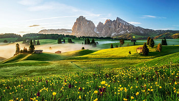 Dolomites, Alpe Di Siusi, Italy, alps, spring, morning, peaks, landscape, meadow, misty, blossoms, trees, clouds, flowers, sky HD wallpaper