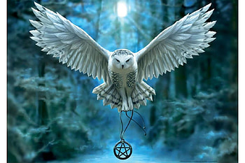 Owl, blue, white, art, bird, anne stokes, fantasy, bufnita, luminos, pasari HD wallpaper