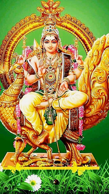 God Murugan, Palani Malai Murugan HD phone wallpaper