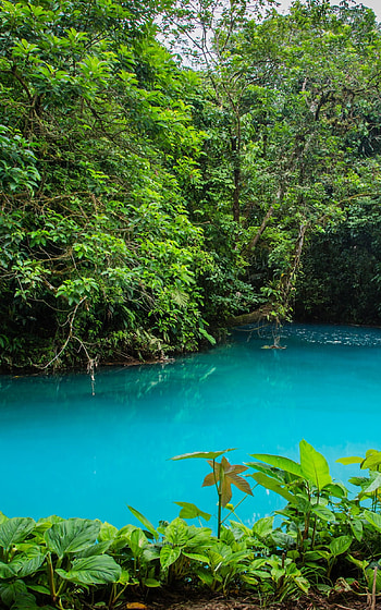 Costa Rica, , mobile, Costa Rica flag HD phone wallpaper
