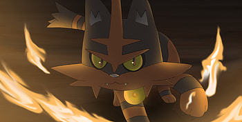 Litten, Pokemon anime, Evolution, Torracat HD wallpaper