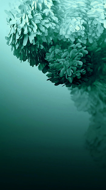 Green, aqua, natural_landscape HD phone wallpaper