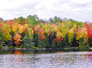 Beautiful Autumn, graphy, Forest, Trees, Lake, Nature, Autumn, Clouds, Sky HD wallpaper