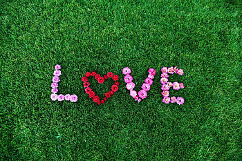 LOVE Flower Art, love, flowers, i-love-you, art HD wallpaper