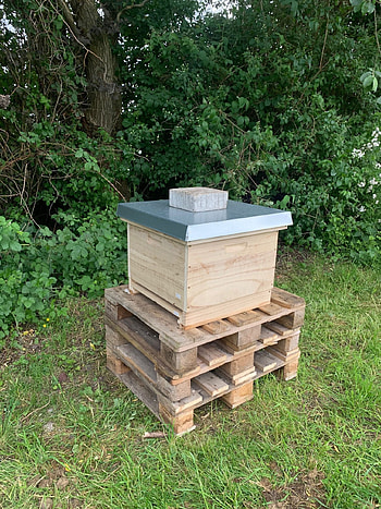 Beehive, Busy bees, Beekeeping preschool, Nature education HD phone wallpaper