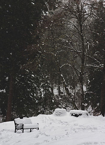 Winter, Nature, Trees, Snow, Park, Bench HD phone wallpaper