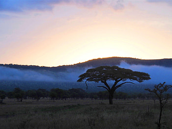 Serengeti National Park, Visit in the Serengeti, Exclusiv travel, Tanzania adventures HD wallpaper