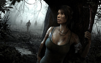Artistic portrayal, Stunning visuals, Tomb Raider 2013, Art masterpiece HD wallpaper