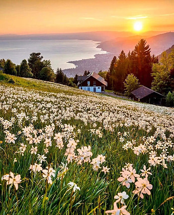 Caux Switzerland, cloud, sky HD phone wallpaper
