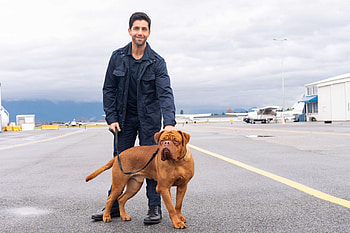 Josh Peck, Turner and Hooch Reboot, Disney series, Josh Peck HD wallpaper