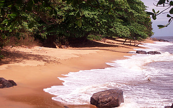 Kribi, Beach HD wallpaper