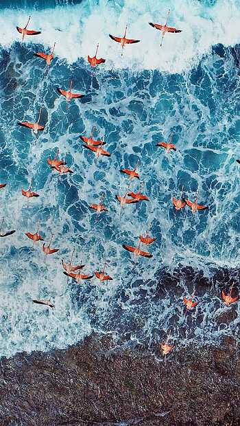 Venezuela, Aerial view, Los Roques Archipelago National Park HD phone wallpaper