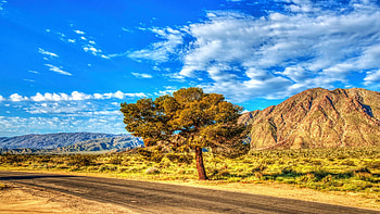 Anza-Borrego State Park, California, hills, autumn, landscape, clouds, road, sky, tree, usa HD wallpaper
