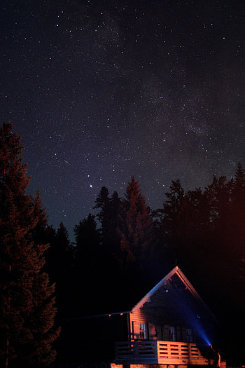 Trees, Night, Dark, Starry Sky, House HD phone wallpaper
