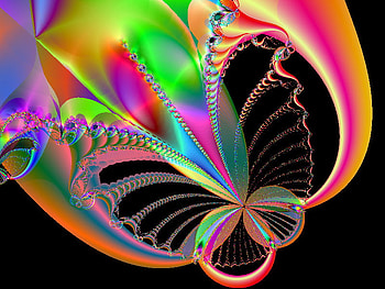 Butterfly on Tulip, tulip, color, multicolor, butterfly, 3d, abstract, rainbow, light, fractal HD wallpaper