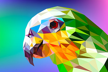Parrot polygon facets, 1280x1024 resolution, , and HD wallpaper