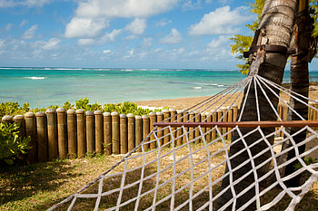 Relax, sand, graphy, peaceful, hammock, vacation, nice, beach, waves, trees, pleasant, water, ocean, sea, beautiful, summer, pretty, cool, view, clouds, sky, lovely, harmony HD wallpaper