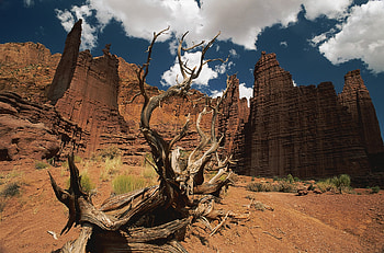 Nature, Sky, Clouds, Wood, Tree, Shadow, Wall, Canyons, Dead HD wallpaper