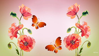 Poppies and Butterflies , butterflies, summer, poppies, wild flowers, flowers, spring HD wallpaper