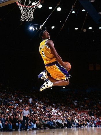 Kobe Bryant, Basketball HD phone wallpaper