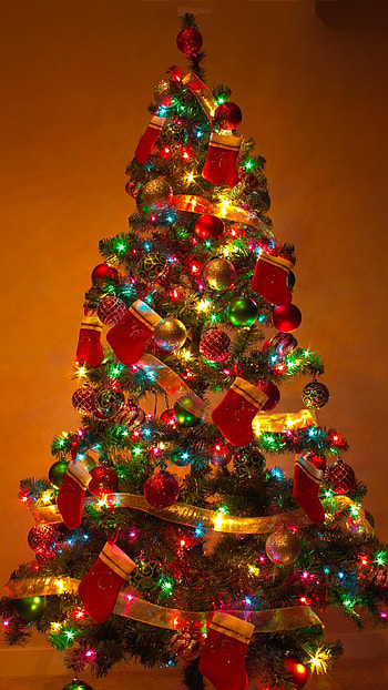 Happy New Year, Christmas Tree, Abstract HD phone wallpaper