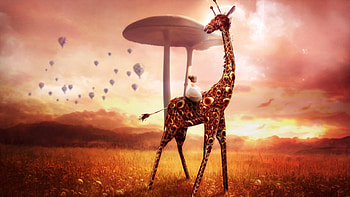 Giraffe Dream Fantasy, giraffe, artist, digital-art, dream HD wallpaper