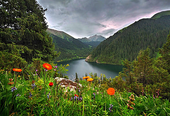 Beautiful River, river, cool, beautiful HD wallpaper