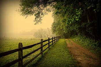 Pennsylvania summer , Sunny days, Outdoor adventures, Seasonal delights HD wallpaper
