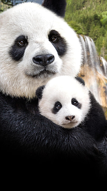 Born in China (2022) movie HD phone wallpaper