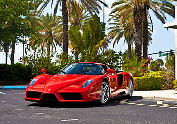 Ferrari, Cars, Enzo HD wallpaper
