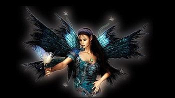 Luz de Hada, fairy, abstract, fantasy, bluejay HD wallpaper