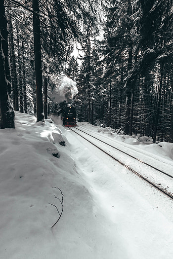 Winter, Snow, Miscellanea, Miscellaneous, Forest, Train, Locomotive, Steam Locomotive HD phone wallpaper