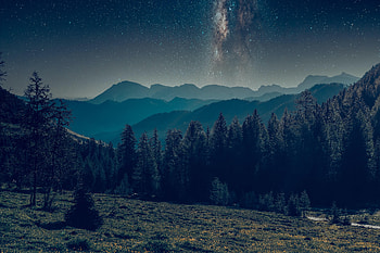 Landscape, Nature, Mountains, Night, Forest, Starry Sky HD wallpaper