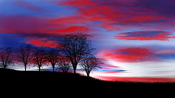 Beautiful Sunset enhanced with Digital Art, trees, nature, digital, sunset HD wallpaper