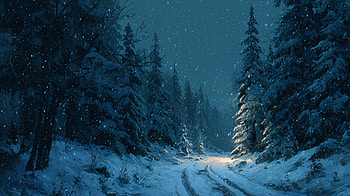 — Midnight Snowfall on a Winter Trail, Snowing, Forest HD wallpaper