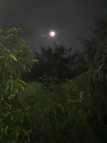 Night, moon, night, dark HD phone wallpaper