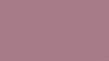one colour solid color plain single pink HD wallpaper