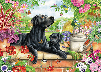 Black Labrador, dogs, garden, pupflowers, painting HD wallpaper